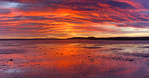 Findhorn